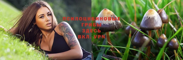 тгк Алексеевка