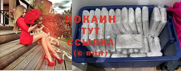 тгк Алзамай
